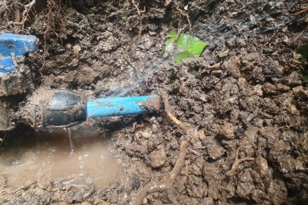 Water Mains Leak Detection Felixstowe